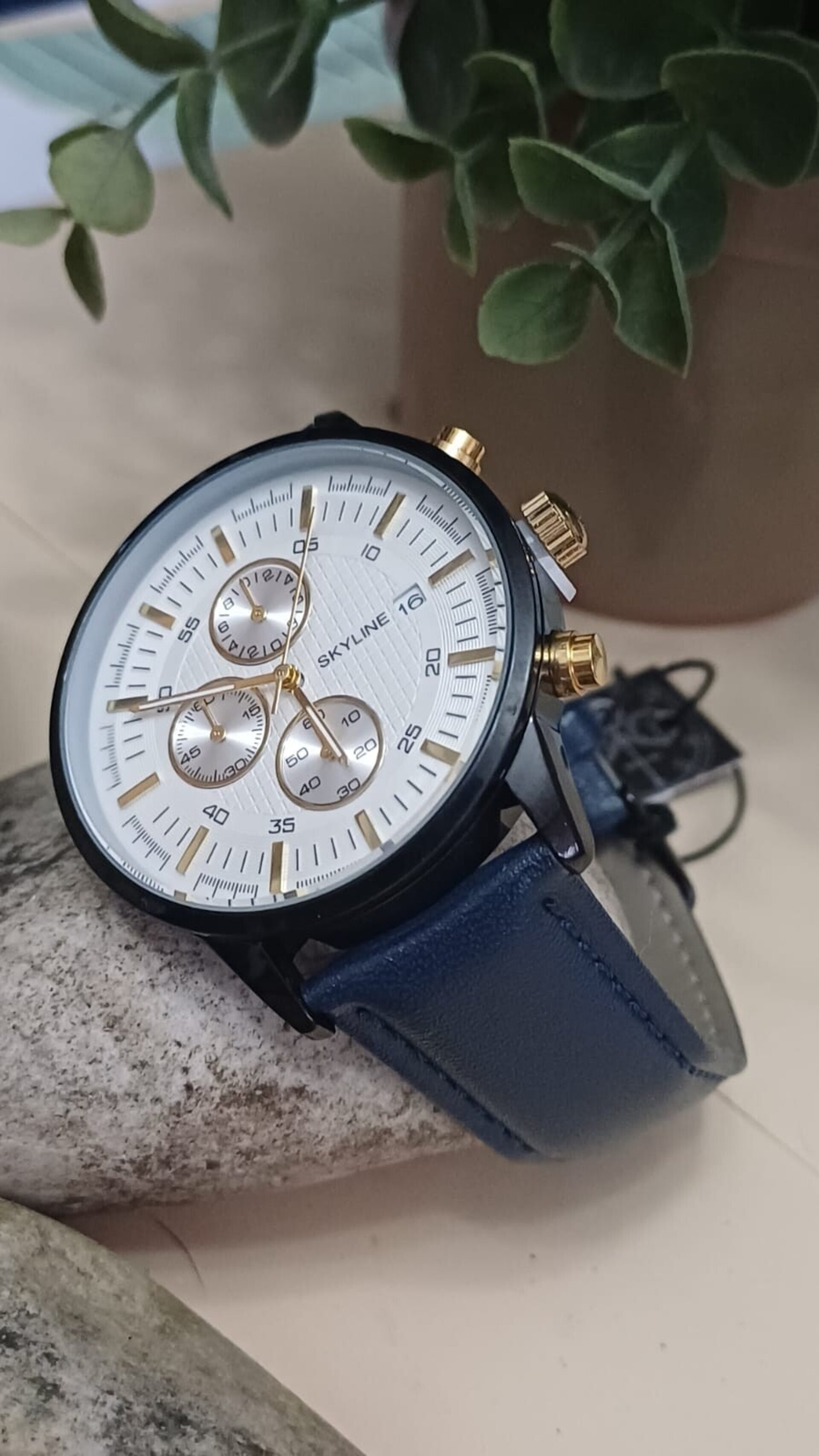 Reloj Cronógrafo Piel Azul Eagle - 1