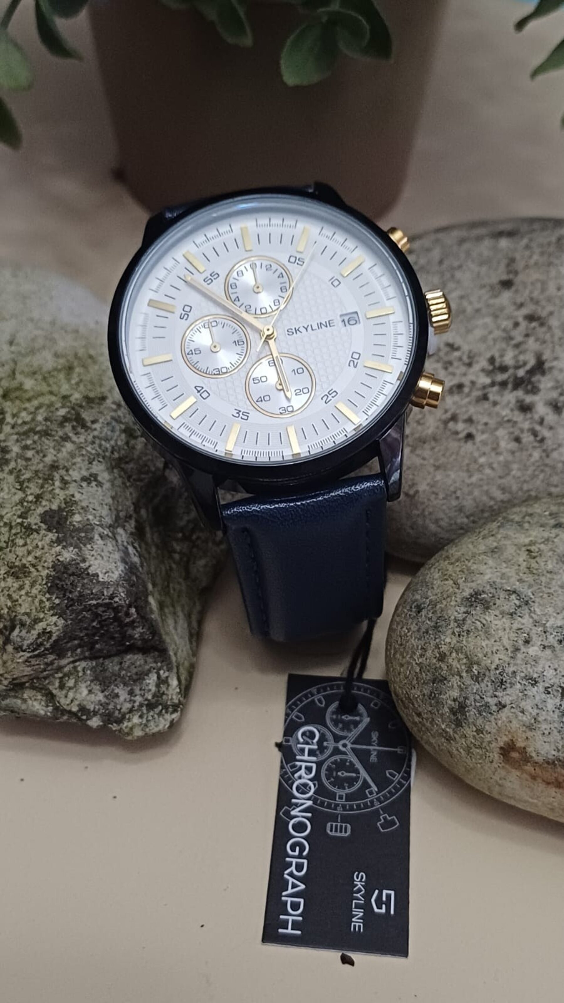 Reloj Cronógrafo Piel Azul Eagle - 3