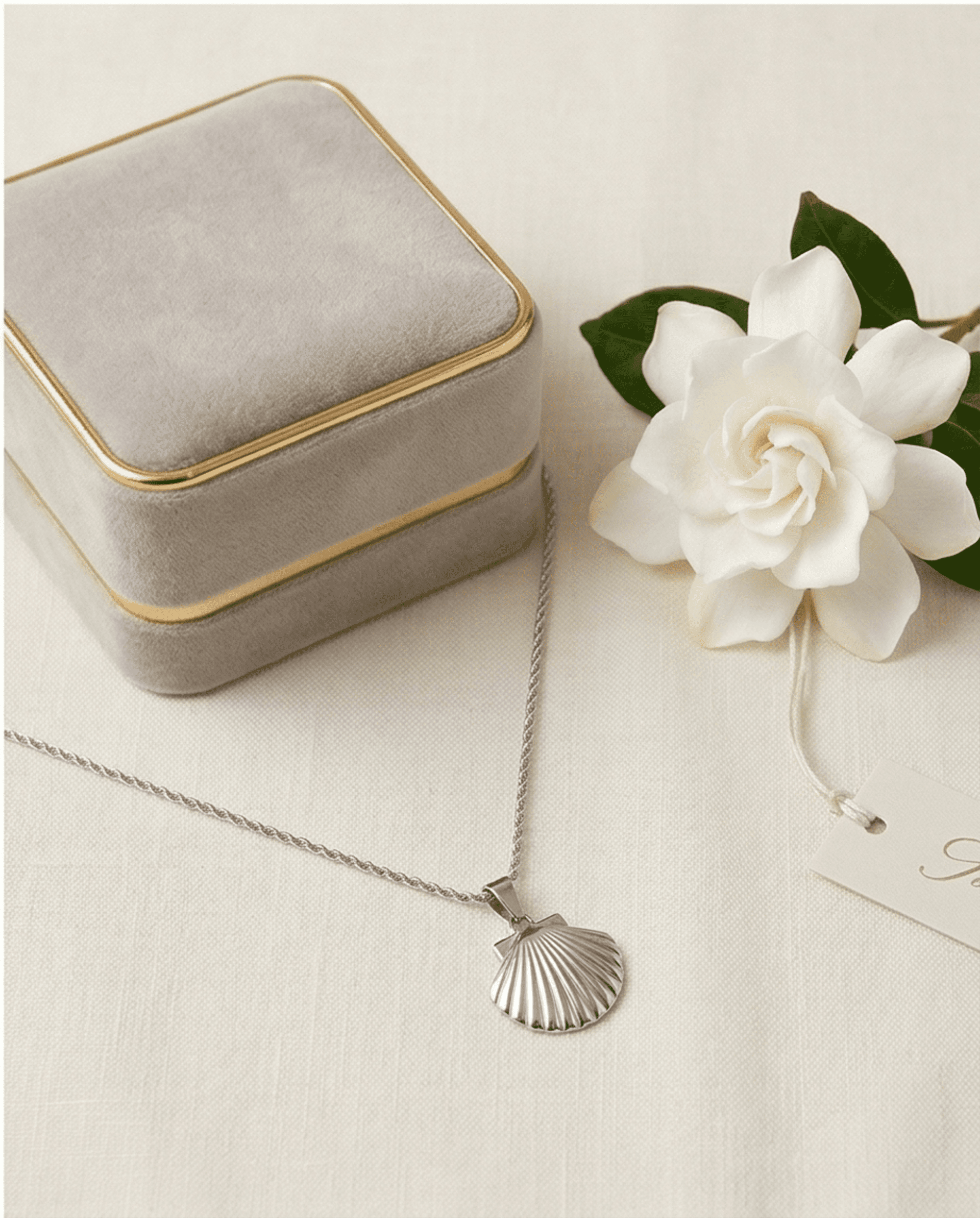 Ocean Shell Glow – Collar Concha en Acero Quirúrgico 316L - 4